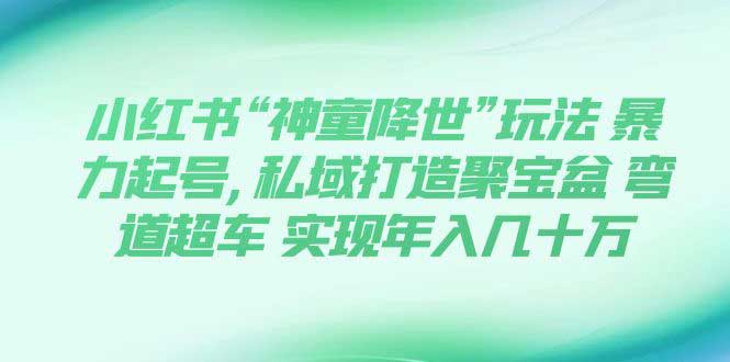 （7673期）小红书“神童降世”玩法 暴力起号,私域打造聚宝盆 弯道超车 实现年入几十万插图