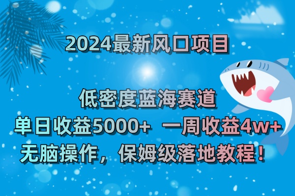 （8545期）2024最新风口项目 低密度蓝海赛道，日收益5000+周收益4w+ 无脑操作，保...插图1