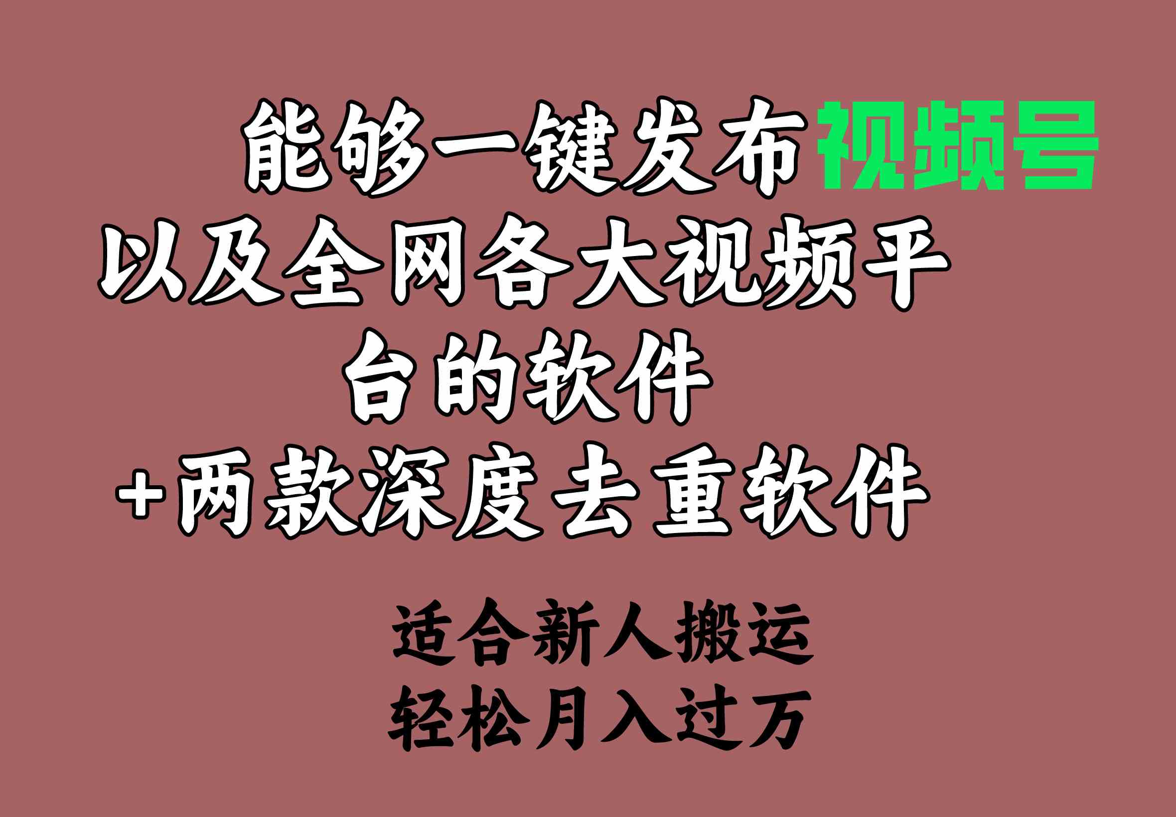 图片[1]-一键发布视频号和主流平台的软件+两款深度去重软件，助你提升收益和起号概率-隆盛的微博