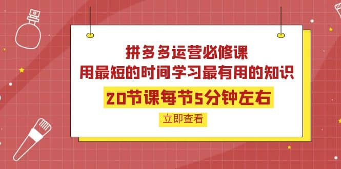 图片[1]-拼多多运营必修课：20节课每节5分钟左右，用最短的时间学习最有用的知识-隆盛的微博