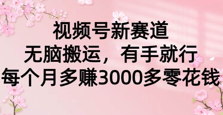 图片[1]-视频号新赛道，无脑搬运，有手就行，每个月多赚3000多零花钱-隆盛的微博