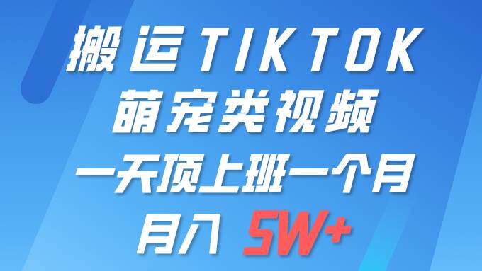 图片[1]-一键搬运TIKTOK萌宠类视频 一部手机即可操作 所有平台均可发布 轻松月入5W+-隆盛的微博