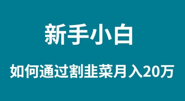 图片[1]-新手小白如何通过割韭菜月入 20W-隆盛的微博