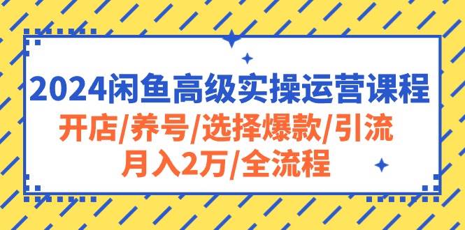 图片[1]-2024闲鱼高级实操运营课程：开店/养号/选择爆款/引流/月入2万/全流程-隆盛的微博