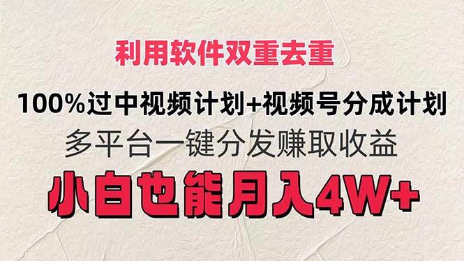 图片[1]-利用软件双重去重，100%过中视频+视频号分成计划小白也可以月入4W+-隆盛的微博